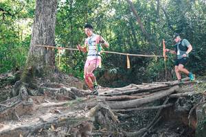 BIB: 
                            <button type="button" onclick="openModal(27747669)" class="btn btn-primary btn-sm float-right btn-popup" data-toggle="modal" data-target=".modal-high-quality">
                        <i class="fas fa-shopping-cart"></i> Add to Cart
                    </button>
                                            <button type="button" onclick="isThisMe(27747669, true)" class="btn btn-success btn-sm float-right btn-popup btn-isme hidden" data-toggle="tooltip" data-placement="bottom" title="นี่คือรูปของคุณใช่ไหม คลิกที่นี่เพื่อเอาเข้าอัลบั้ม">
                        <i class="fas fa-plus"></i> Add to album
                    </button>
                    <button type="button" onclick="isThisMe(27747669, false)" class="btn btn-warning btn-sm float-right btn-popup btn-isnotme hidden">
                        <i class="fas fa-ban"></i> Remove from album
                    </button>